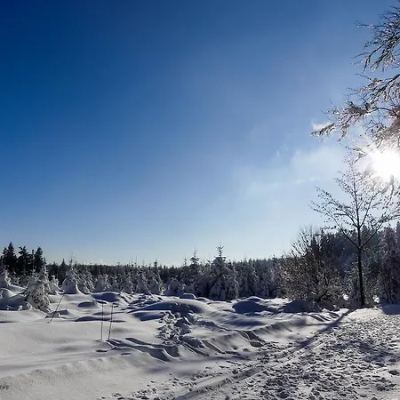 Haus Am Walde Πανσιόν Schmallenberg