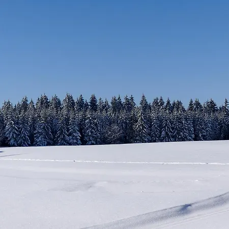 Pensión Haus Am Walde 3*