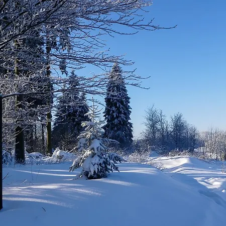 Haus Am Walde Pensión Schmallenberg