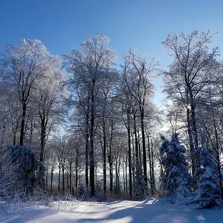 Haus Am Walde Pensión