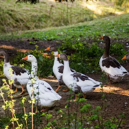 Haus Am Walde Pensión Schmallenberg