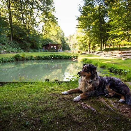 Haus Am Walde Konukevi