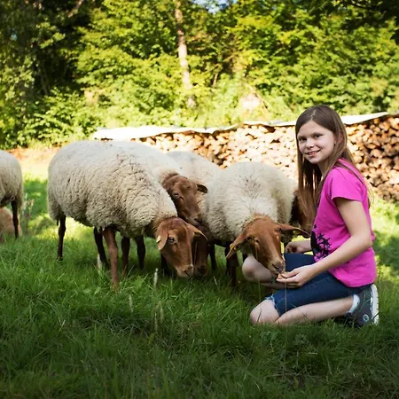 Konukevi Haus Am Walde Schmallenberg