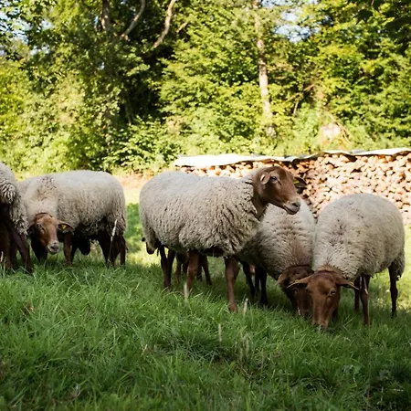 Pensión Haus Am Walde 3*