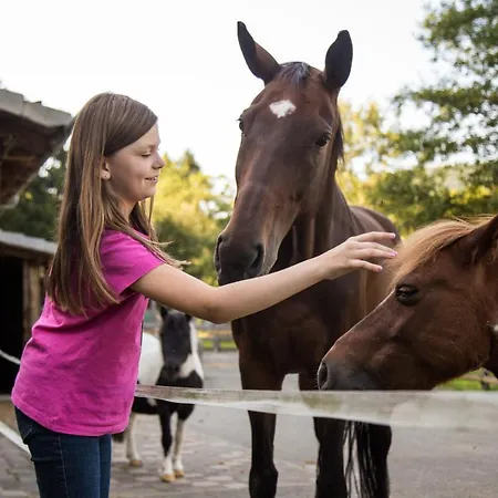 Haus Am Walde Konukevi 3*