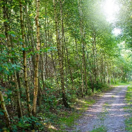 Haus Am Walde Pensión Schmallenberg