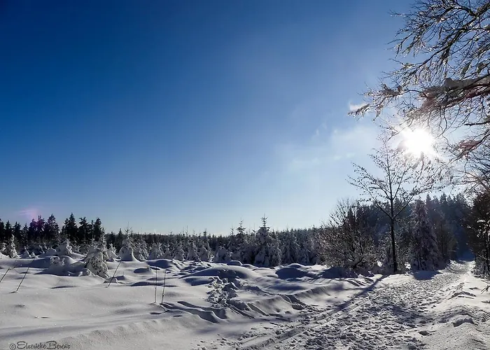 Haus Am Walde Penzion Schmallenberg