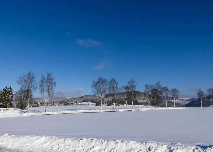 Guest house Haus Am Walde