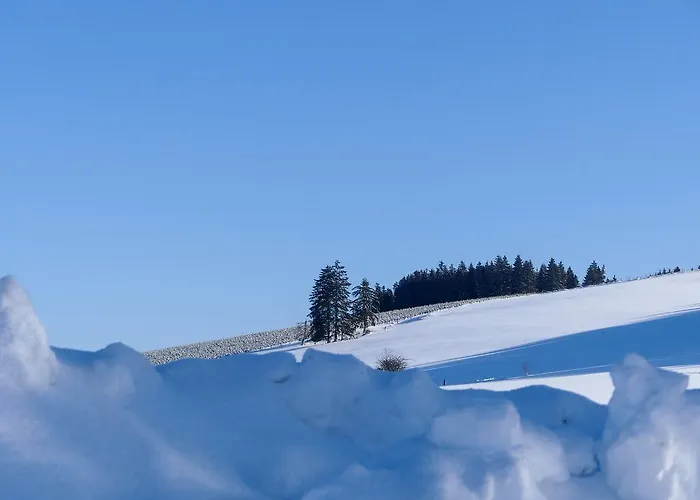 Haus Am Walde Penzion