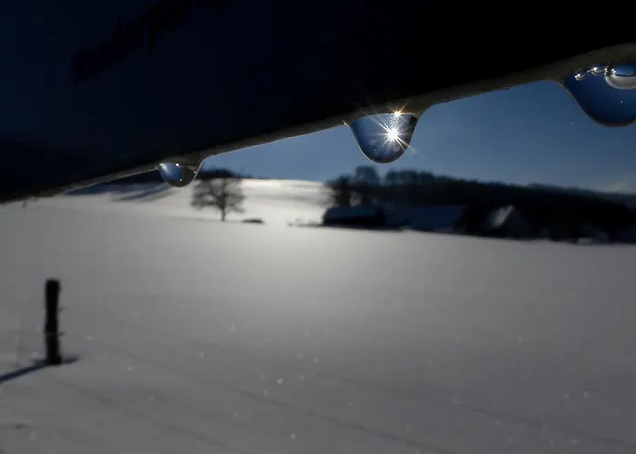 Guest house Haus Am Walde