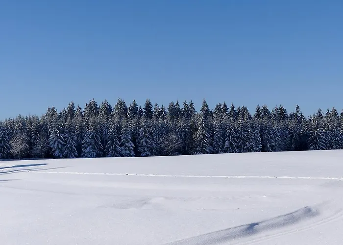 Penzion Haus Am Walde 3*