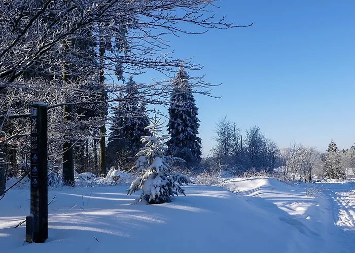 Haus Am Walde Penzion Schmallenberg