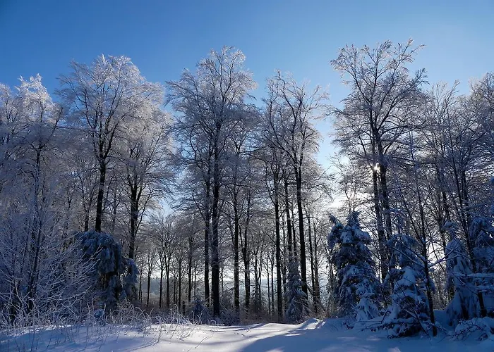 Haus Am Walde Penzion