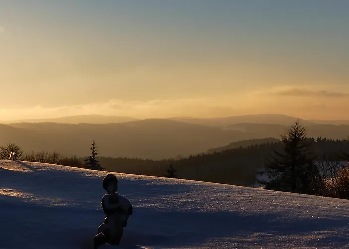 Haus Am Walde Guest house 3*