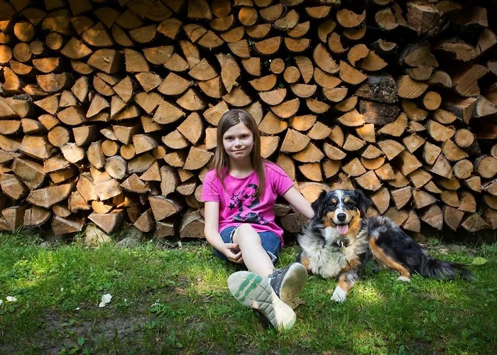 Haus Am Walde 게스트하우스