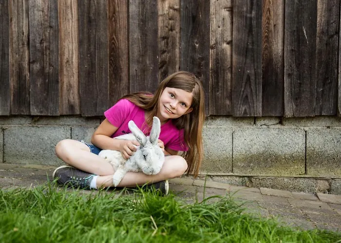 게스트하우스 Haus Am Walde