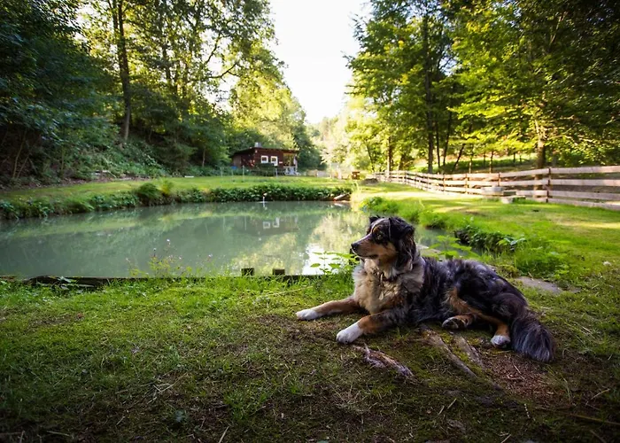 Haus Am Walde 게스트하우스