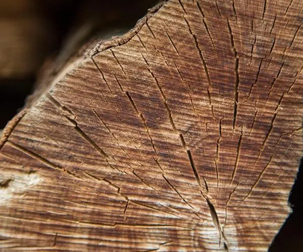 Haus Am Walde Penzion 3*