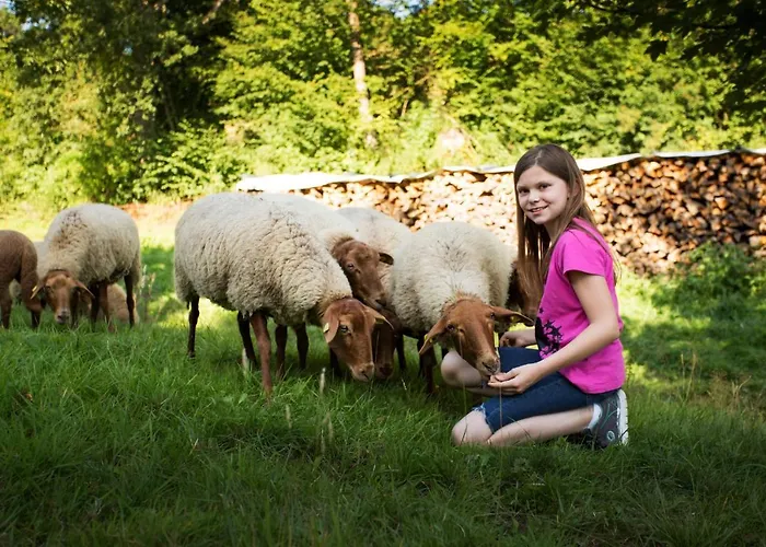 게스트하우스 Haus Am Walde 슈말렌부르크