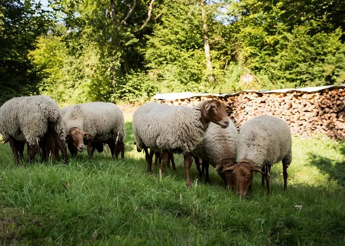 게스트하우스 Haus Am Walde 3*