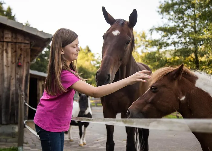 Haus Am Walde 게스트하우스 3*