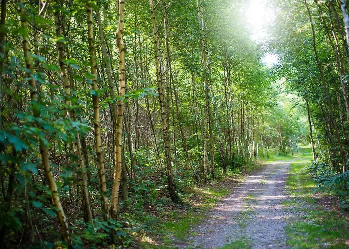 Haus Am Walde 게스트하우스 슈말렌부르크